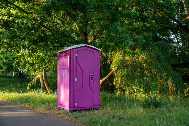 Porta potty rental for festivals in Findlay, OH